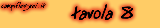 tavola8